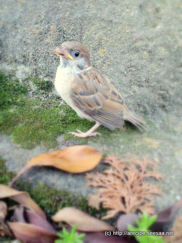 20100718 132.jpg